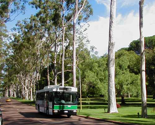 Transperth Renault PR100.2 Bolton 590